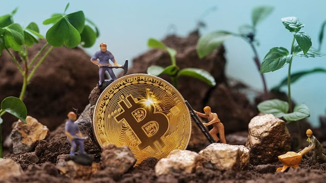 Beyond Bitcoin: Greener Cryptocurrency Options