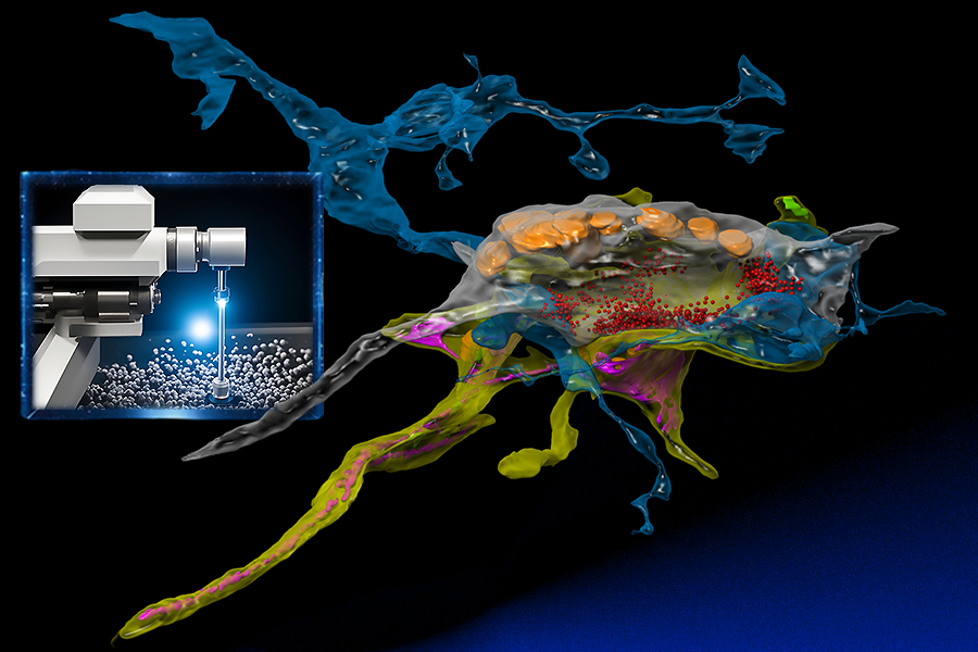 AI-Driven Optimization Accelerated Neural Imaging