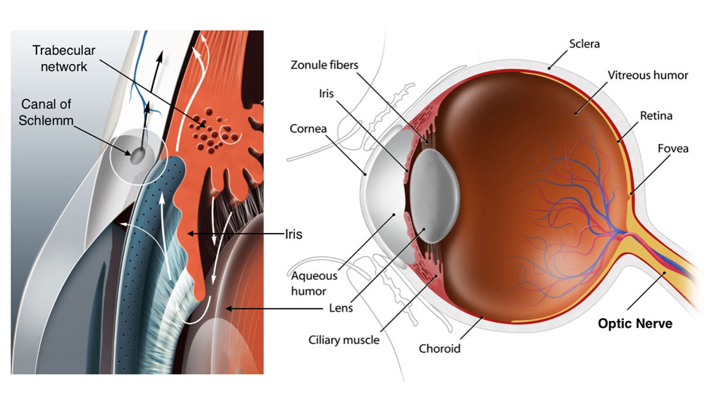 Glaucoma Diagnosis: AI's 10-Second Revolution